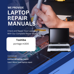 portege m300